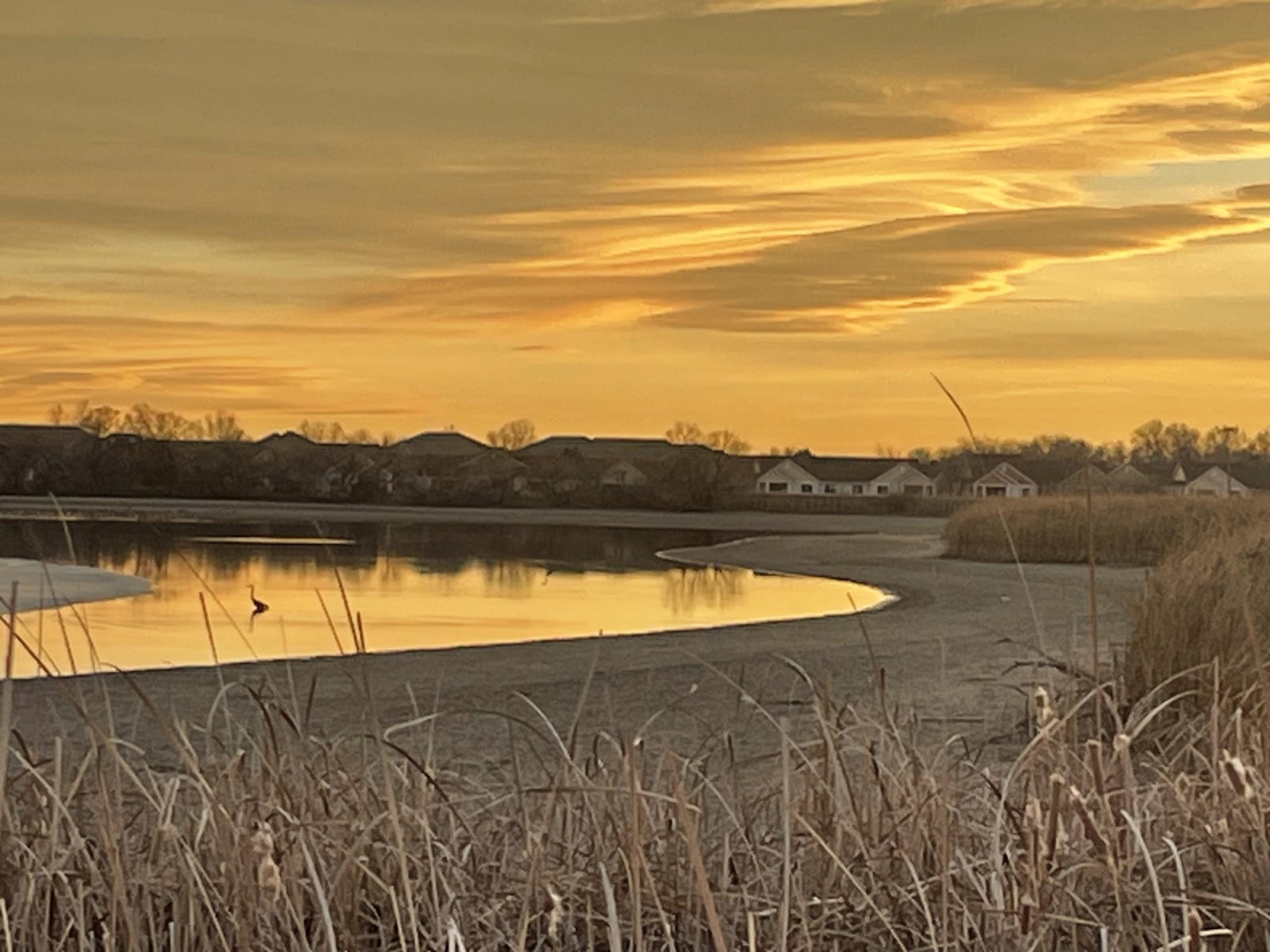 December sunsets - unending beauty during evening walks near my home.