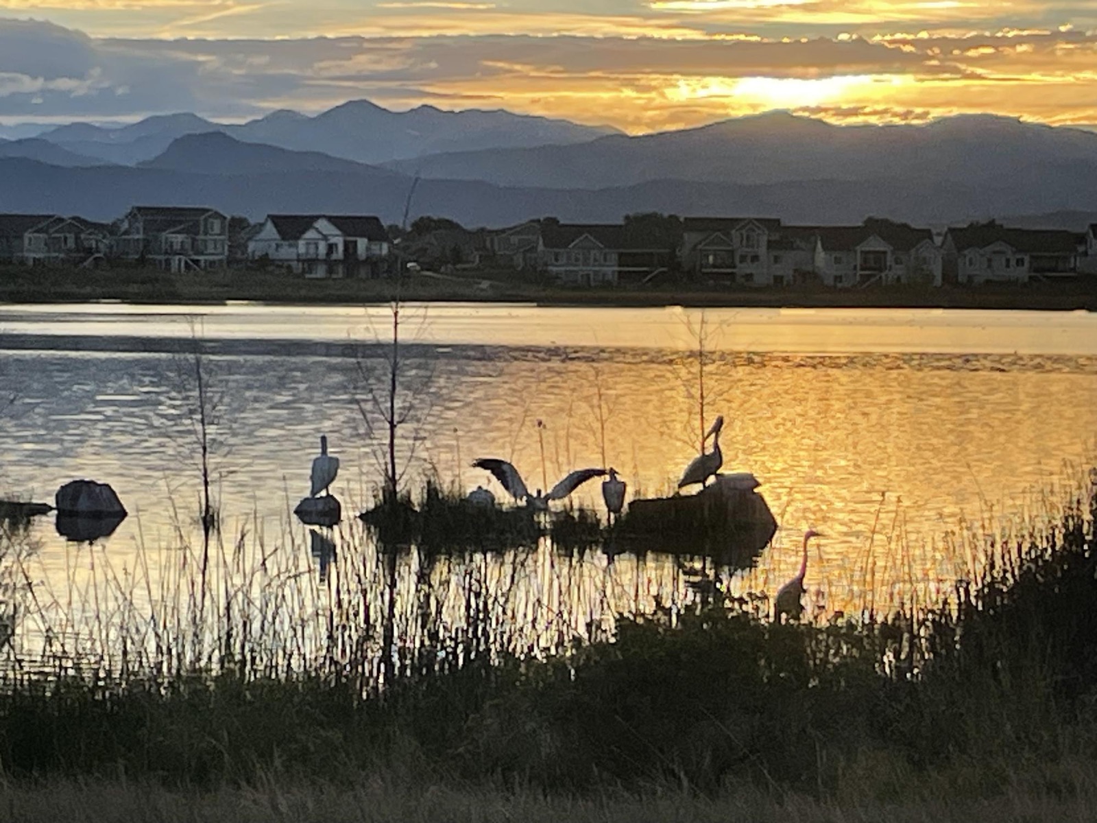 'My' lake and new flying friends :)